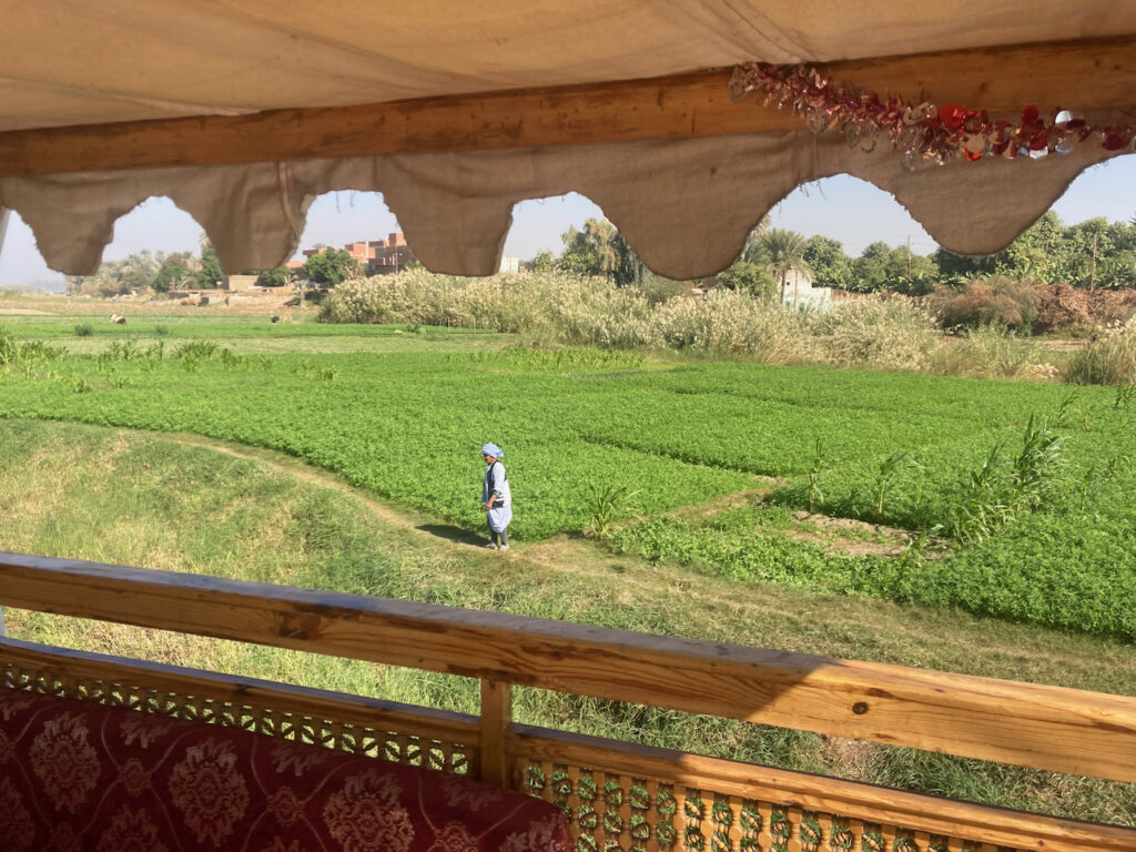 Paysages bord de Nil champs paysans